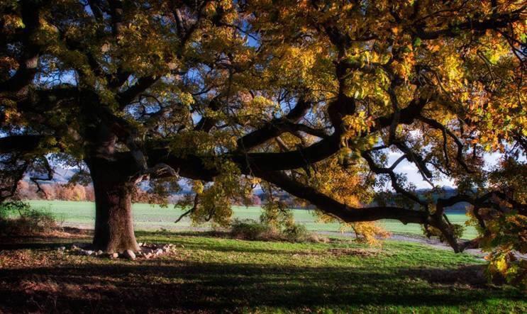 Antica Locanda Pienza Kültér fotó